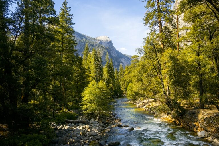 Explorando La Maravilla Natural Del Parque Nacional De Yosemite Gu A