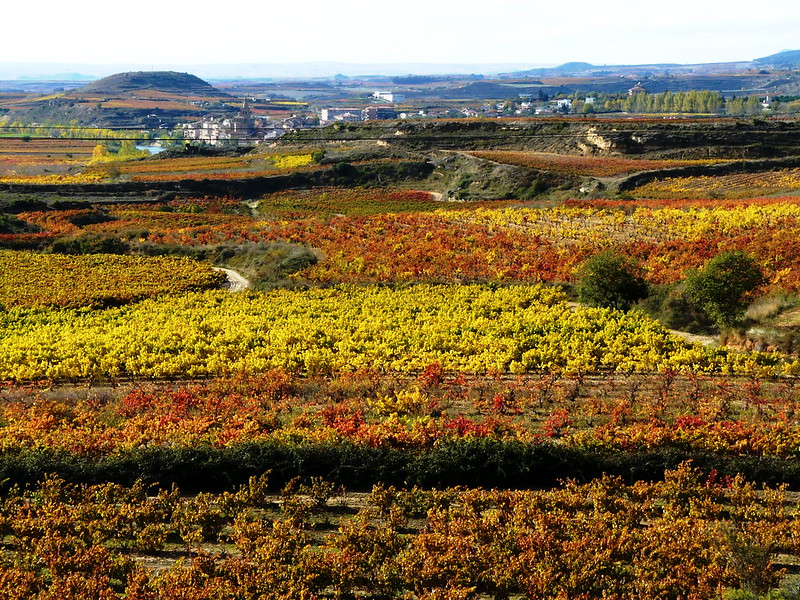 Explorando las maravillas de Cádiz.